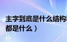 主字到底是什么结构和部首（主的部首和结构都是什么）