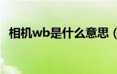 相机wb是什么意思（相机wb是什么意思）