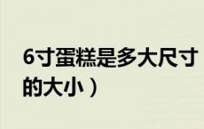 6寸蛋糕是多大尺寸（6寸蛋糕多大 6寸蛋糕的大小）