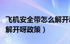 飞机安全带怎么解开动态图（飞机安全带怎么解开呀政策）