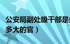 公安局副处级干部是多大的官（副处级干部是多大的官）