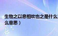 生物之以息相吹也之是什么意思（生物之以息相吹也的相什么意思）