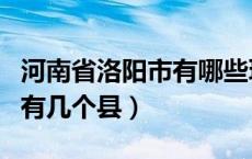 河南省洛阳市有哪些玩的景点（河南省洛阳市有几个县）