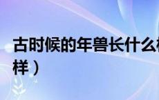 古时候的年兽长什么样（历史上年兽长的什么样）