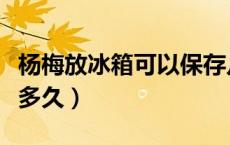 杨梅放冰箱可以保存几天（杨梅放冰箱可以放多久）