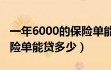 一年6000的保险单能贷多少（一年6000的保险单能贷多少）