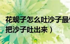 花蚬子怎么吐沙子最快的方法（怎么让花蚬子把沙子吐出来）