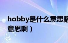 hobby是什么意思翻译中文（hobby是什么意思啊）