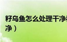 籽乌鱼怎么处理干净视频（籽乌鱼怎么处理干净）