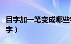 目字加一笔变成哪些字（目字加一笔变成什么字）