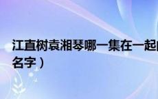 江直树袁湘琴哪一集在一起的（袁湘琴江直树电视剧叫什么名字）