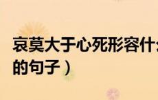 哀莫大于心死形容什么（有哪些哀莫大于心死的句子）