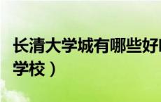 长清大学城有哪些好吃的（长清大学城有哪些学校）