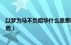 以梦为马不负昭华什么意思图片（以梦为马不负昭华什么意思）