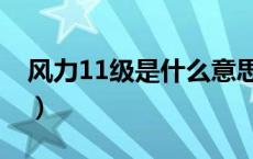 风力11级是什么意思（风力11级是什么概念）