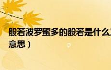 般若波罗蜜多的般若是什么意思（摩诃般若波罗蜜多是什么意思）