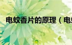 电蚊香片的原理（电蚊香片的原理是什么）