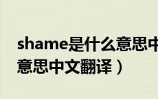 shame是什么意思中文翻译（shame是什么意思中文翻译）