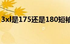 3xl是175还是180短袖（3xl是175还是180）