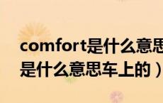 comfort是什么意思中文翻译成（comfort是什么意思车上的）