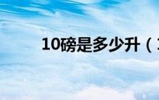 10磅是多少升（10磅是多少斤啊）