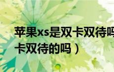 苹果xs是双卡双待吗怎样装卡（苹果xs是双卡双待的吗）