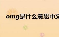 omg是什么意思中文（omg是什么意思）