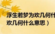 浮生若梦为欢几何什么意思啊（浮生若梦 为欢几何什么意思）