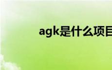 agk是什么项目（agk是什么）