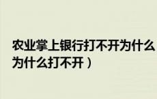 农业掌上银行打不开为什么（安装了手机农行掌上银行软件为什么打不开）