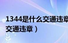 1344是什么交通违章 罚款100（1344是什么交通违章）