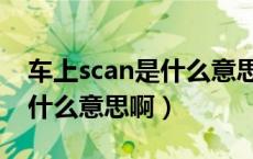 车上scan是什么意思中文翻译（车上scan是什么意思啊）