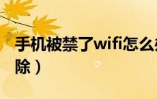 手机被禁了wifi怎么办（手机wifi被禁怎么解除）