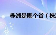 株洲是哪个省（株洲是哪个省的城市）