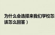 为什么会选择来我们学校怎么回答（为什么会选择我们学校该怎么回答）