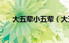 大五荤小五荤（大五荤小五荤是什么）