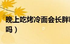 晚上吃烤冷面会长胖吗（晚上吃烤冷面会发胖吗）