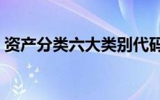 资产分类六大类别代码（资产分类六大类别）