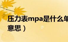 压力表mpa是什么单位（压力表mpa是什么意思）