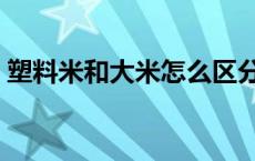 塑料米和大米怎么区分（塑料大米怎么区分）