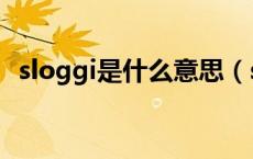 sloggi是什么意思（sloggi是哪个国家的）