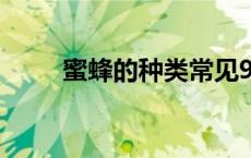 蜜蜂的种类常见9种（蜜蜂的种类）