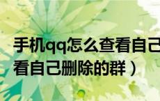 手机qq怎么查看自己删谁了（手机QQ怎么查看自己删除的群）