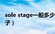 sole stage一般多少钱（solestage是什么牌子）