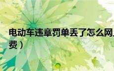 电动车违章罚单丢了怎么网上缴费（电动车违章怎么网上缴费）