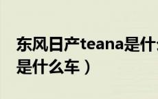 东风日产teana是什么意思（东风日产teana是什么车）