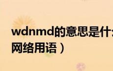 wdnmd的意思是什么（wdnmd是什么意思网络用语）