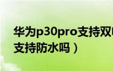 华为p30pro支持双电信卡吗（华为p30pro支持防水吗）