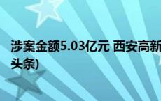 涉案金额5.03亿元 西安高新警方破获一起特大洗钱案(今日/头条)