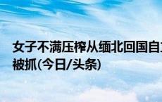 女子不满压榨从缅北回国自立门户，发展男友当下线后双双被抓(今日/头条)